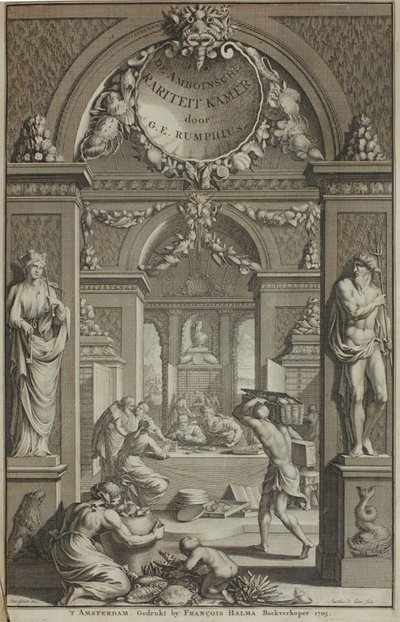 G. E. Rumphius, Amboinese Curiosity Cabinet, Amsterdam 1705 by G. E. Rumphius